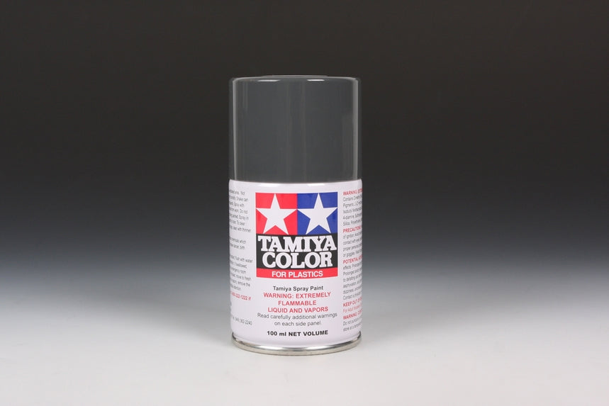 TS-4 German Gray Spray Paint