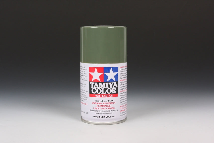 TS-91 Dark Green Spray Paint