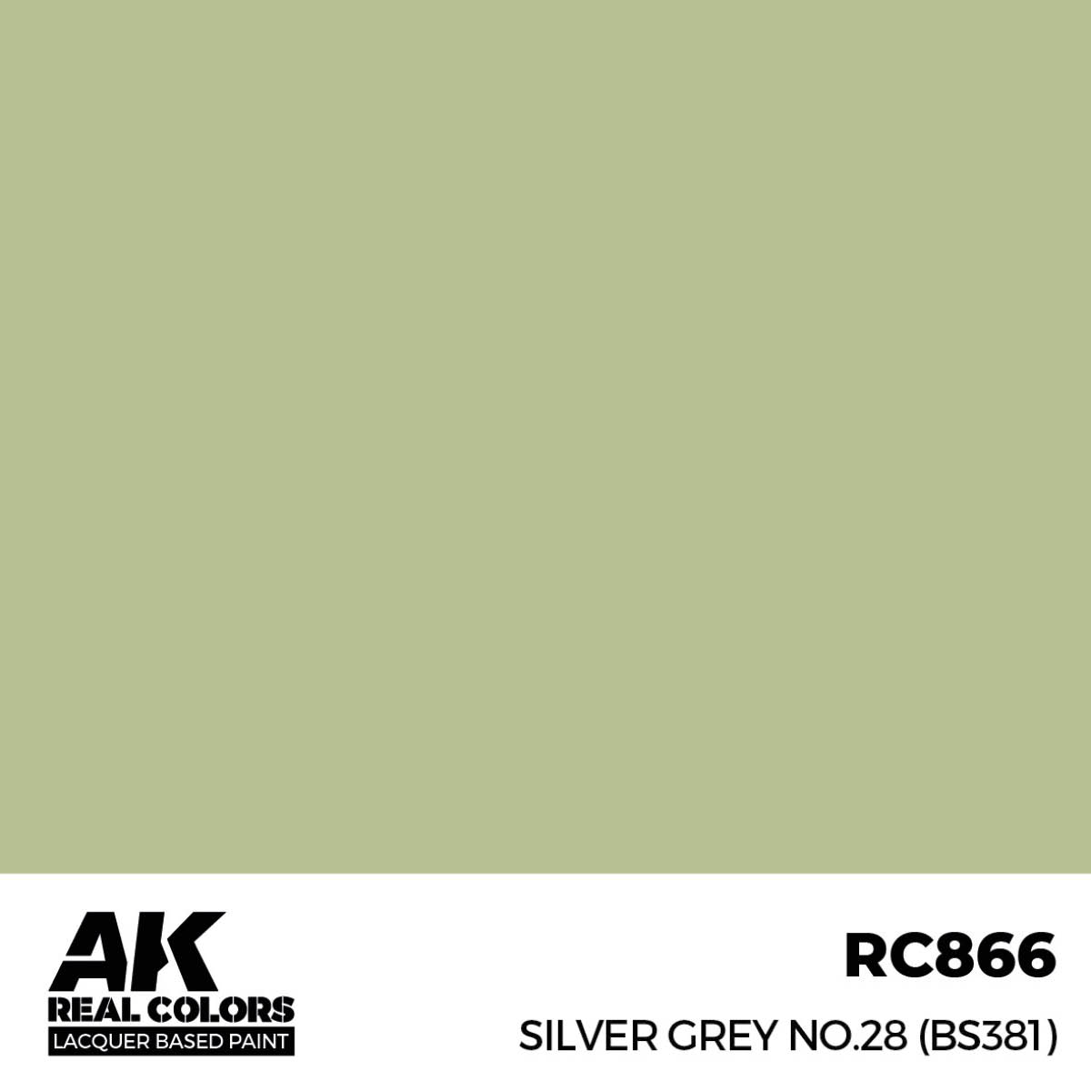 AK RC866 Silver Grey No.28