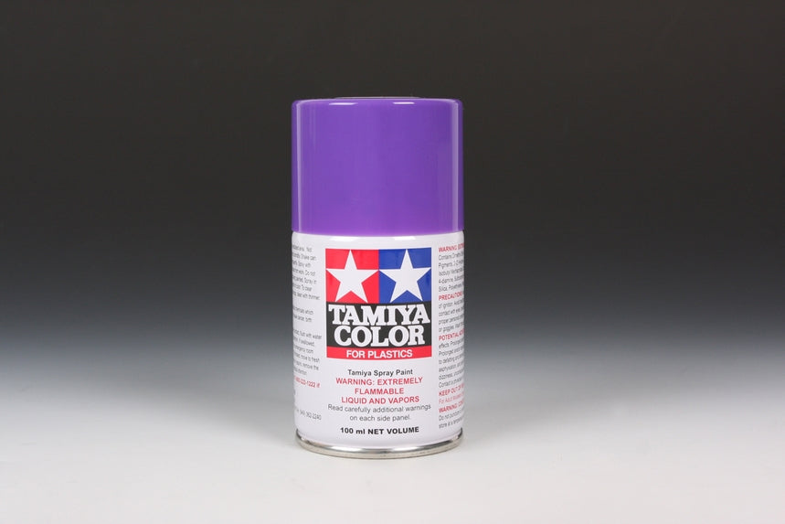 TS-24 Purple Spray Paint