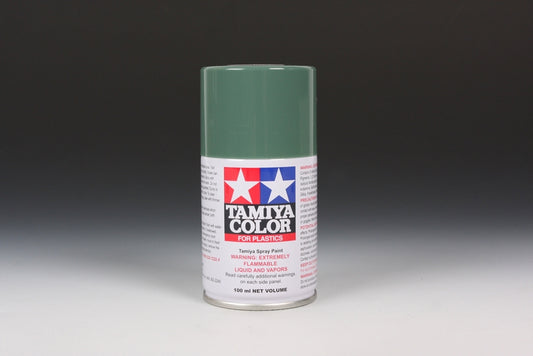 TS-78 Field Grey 2 Spray Paint