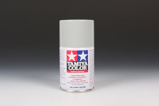 TS-81 Royal Light Grey Spray Paint