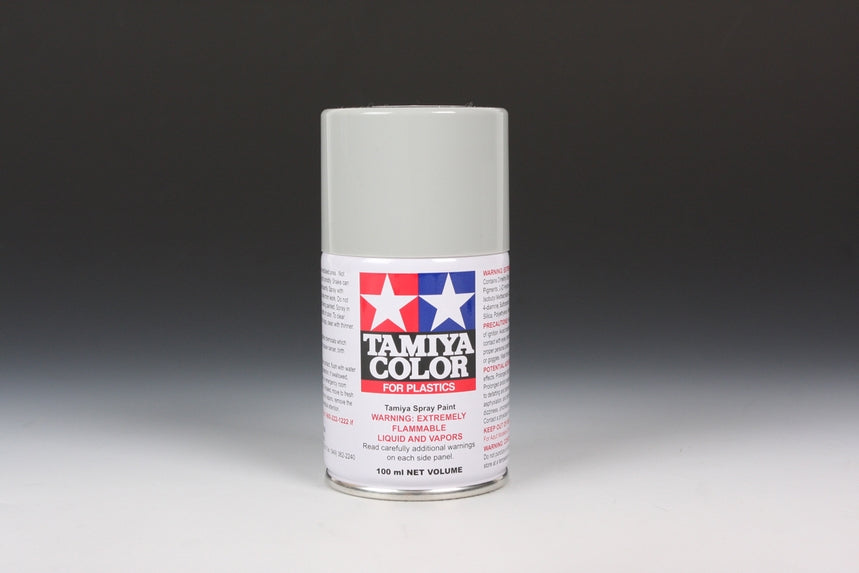 TS-81 Royal Light Grey Spray Paint